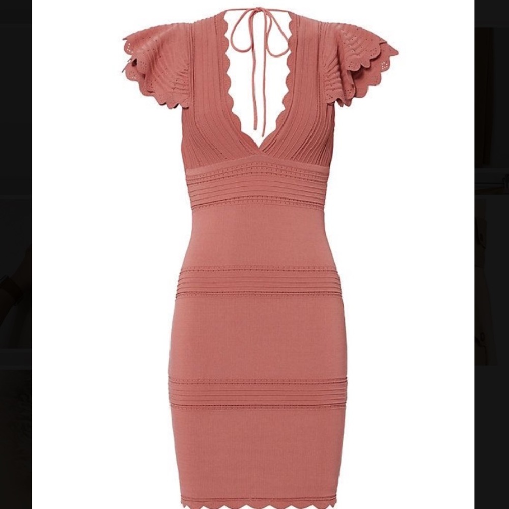Ronny Kobo Collection Scalloped Mini Dress in Dusty Rose